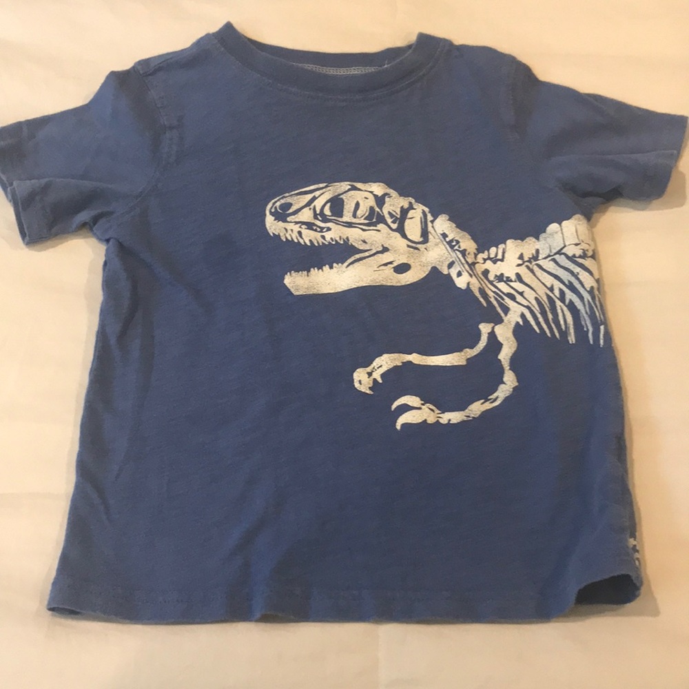 Carter’s kids dino shirt